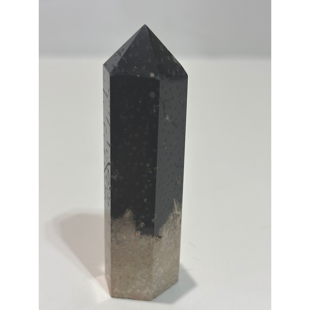 Palm Wood Fossil Tower Unisex OS Black Tan Hexagonal Crystal Obelisk